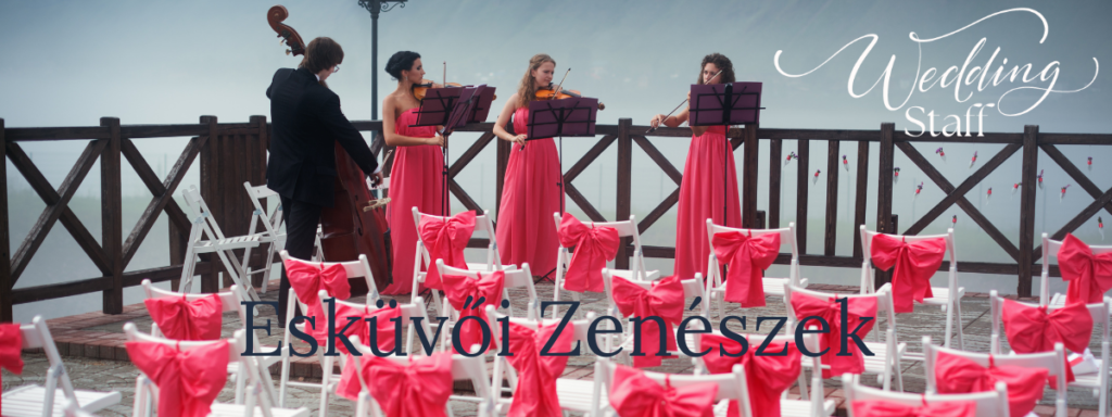 Esküvői Zenészek - Wedding Staff Pro